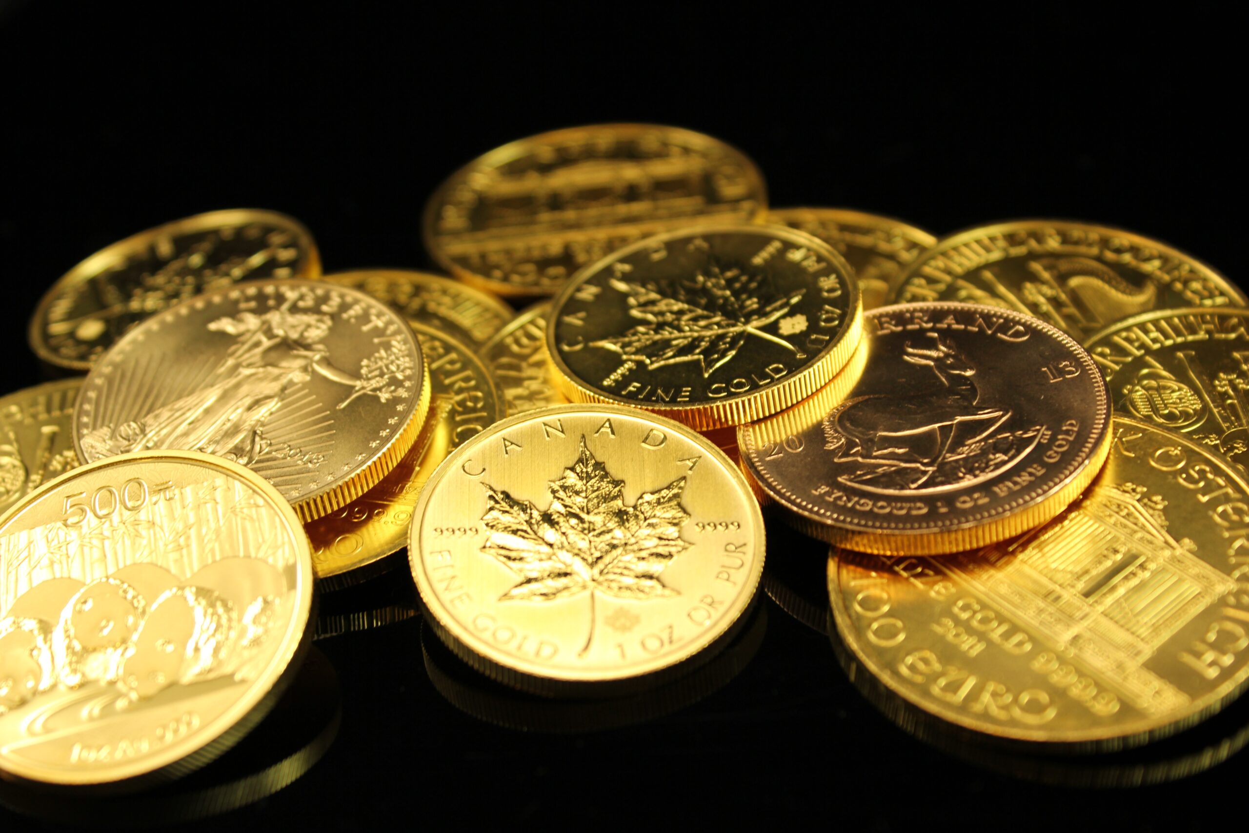 Diversification Options Within Your Gold Ira: Top Providers Revealed